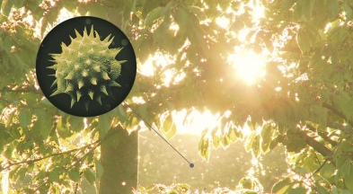 Готовимся к сезону аллергии. Как справиться с аллергией?