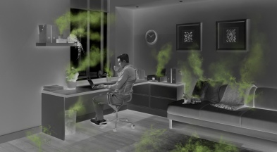 Как справиться с сезоном пыльцы: советы от микробиолога