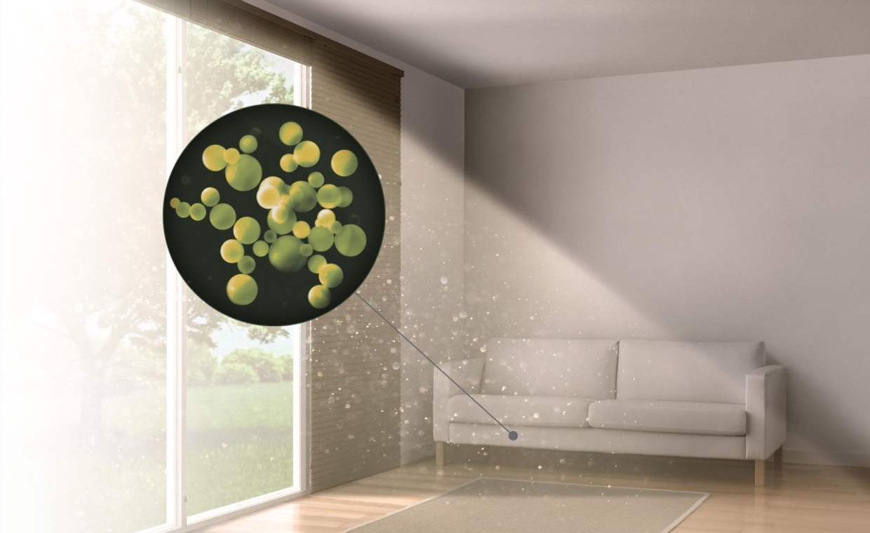 Тозаң аллергиясын азайтудың тиімді әдістері