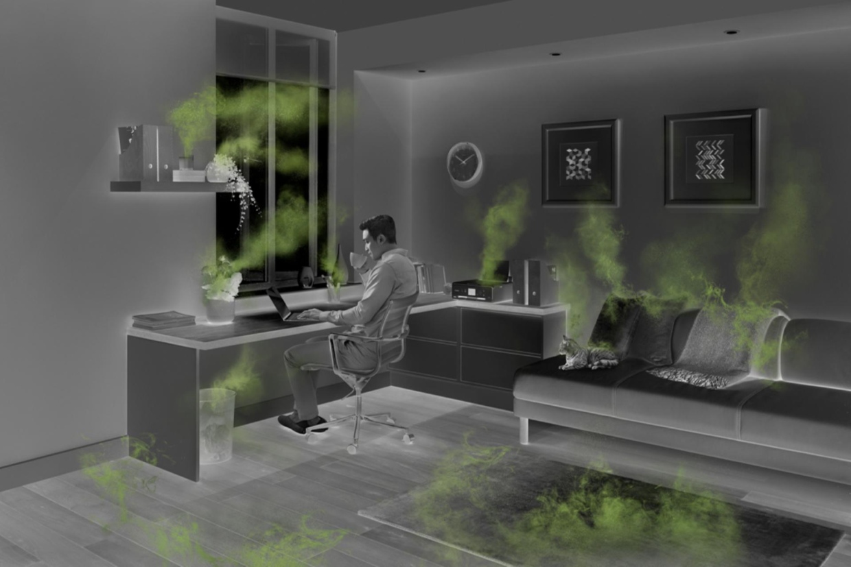 Тозаң маусымымен қалай күресуге болады: микробиологтың кеңестері